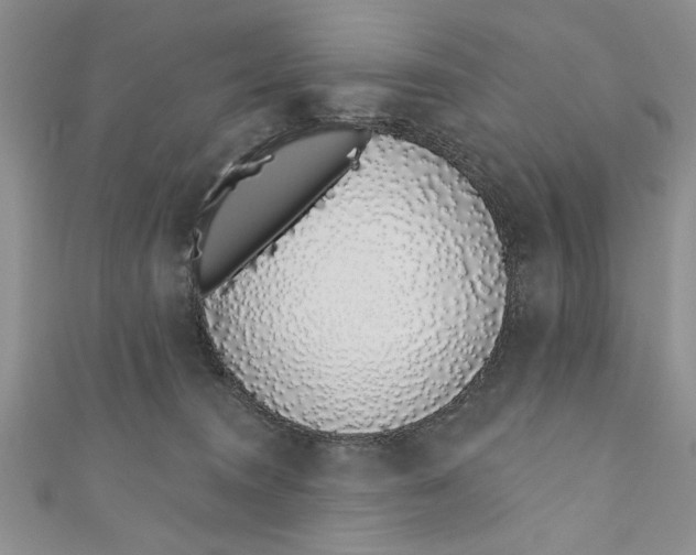 X0000110860372200907021420