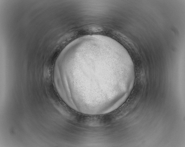 X0000110860373200907021420