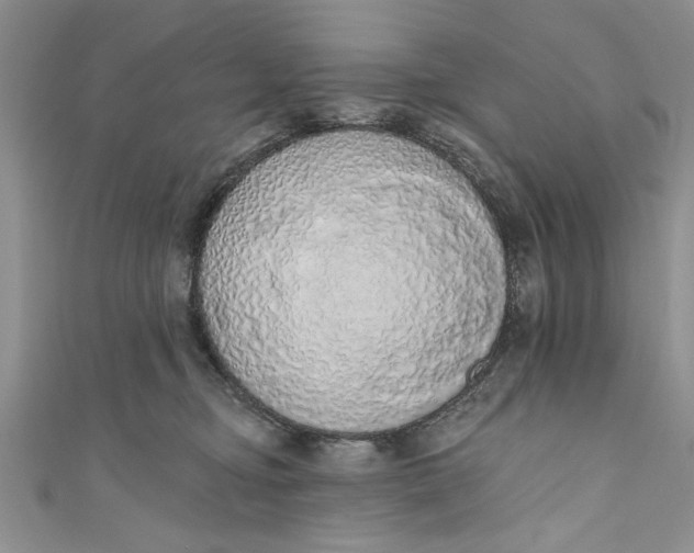 X0000110860374200907021420