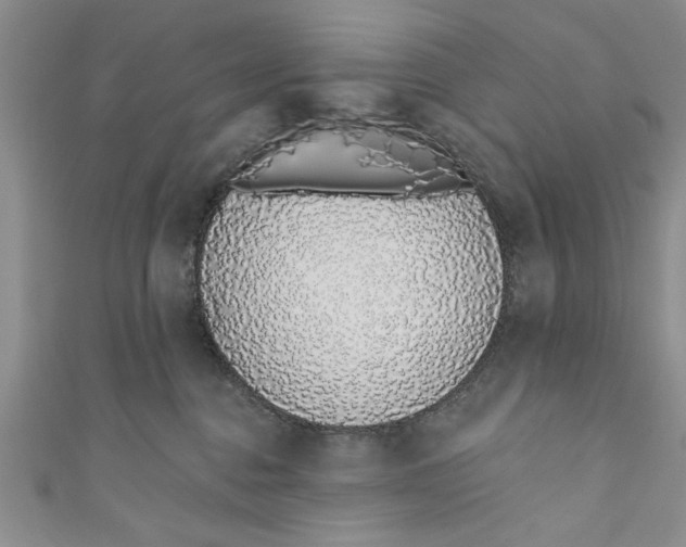 X0000110860376200907021420