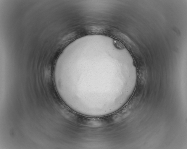 X0000110860377200907021420