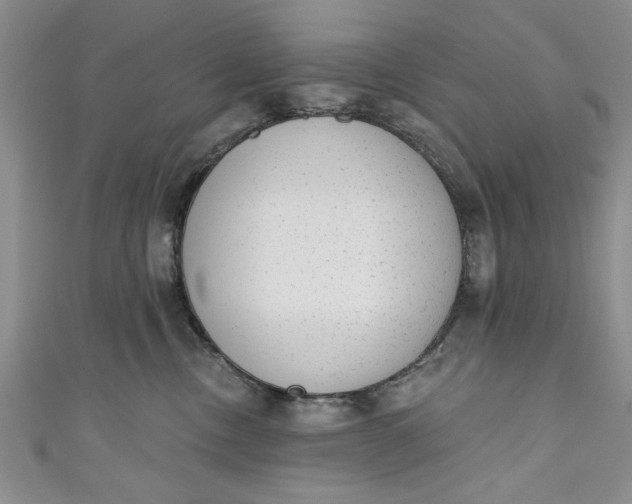 X0000110860378200907021420