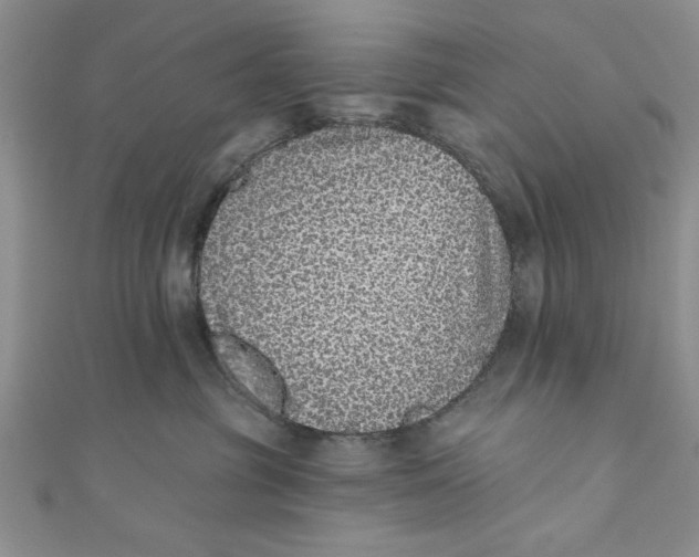 X0000110860381200907021421