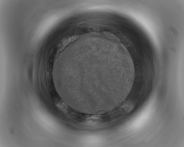 X0000110860382200907021421