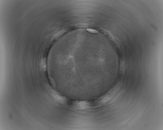 X0000110860383200907021421