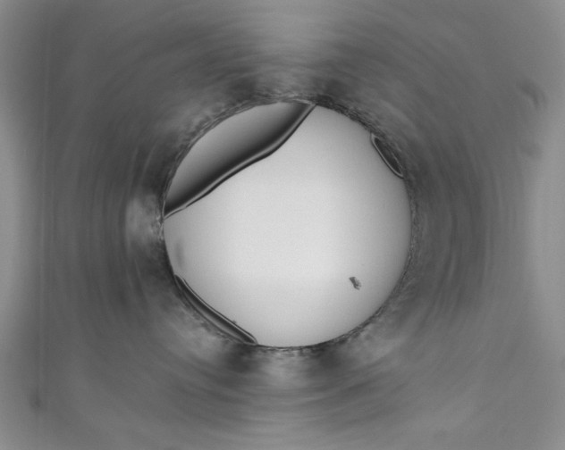 X0000110860384200907021421