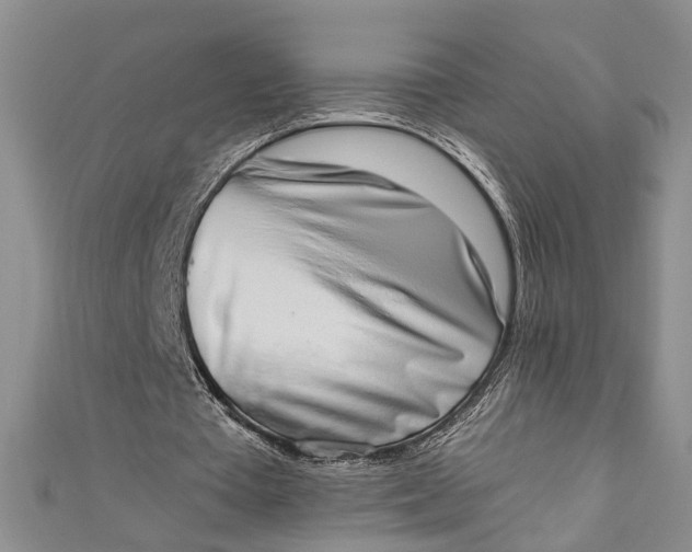 X0000110860385200907021420