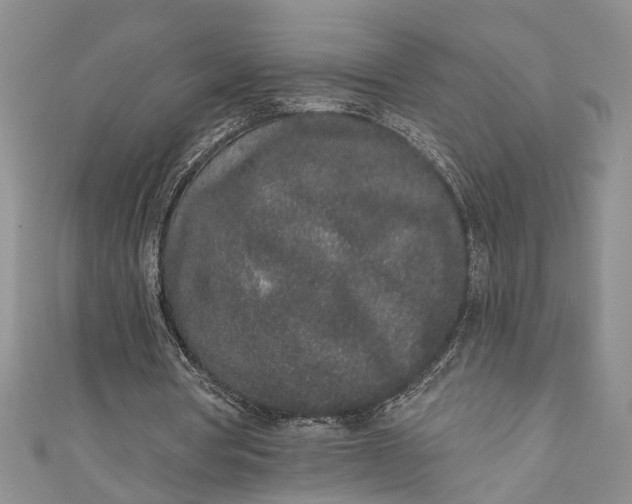 X0000110860386200907021420