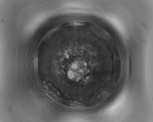 X0000110860387200907021420