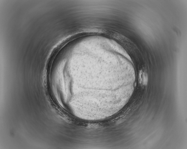 X0000110860388200907021420