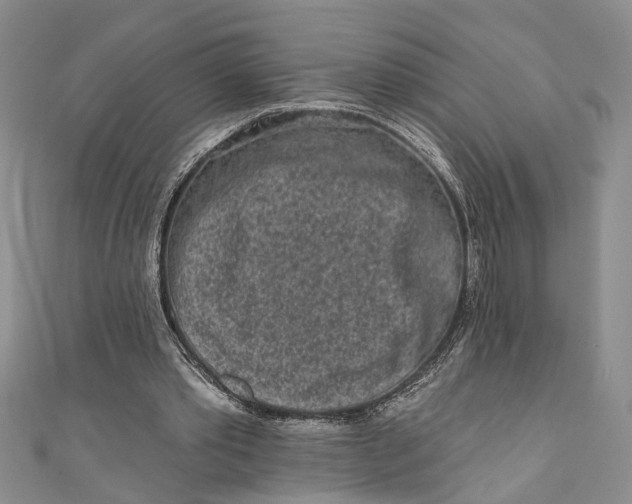 X0000110860389200907021420