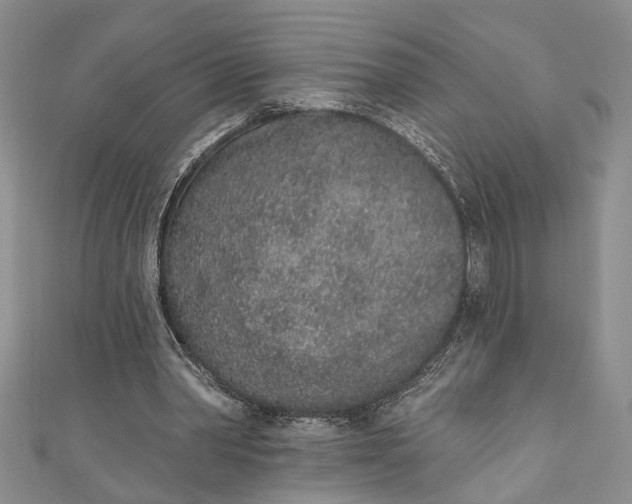 X0000110860390200907021420