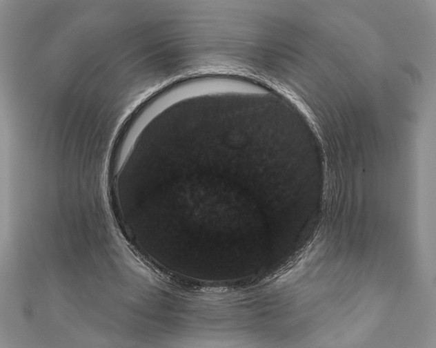 X0000110860391200907021420