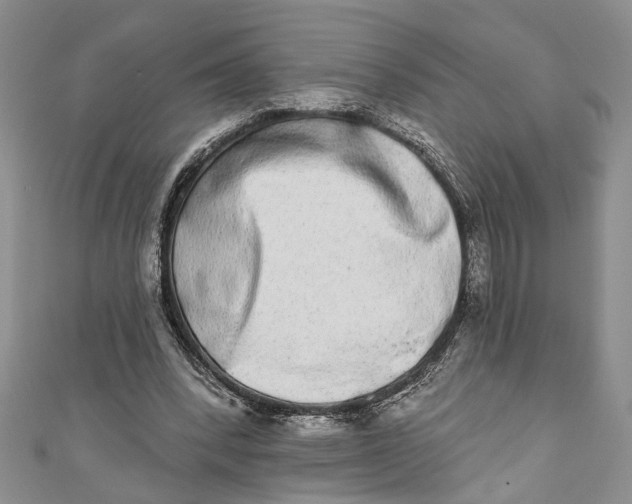 X0000110860392200907021420