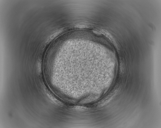 X0000110860393200907021420