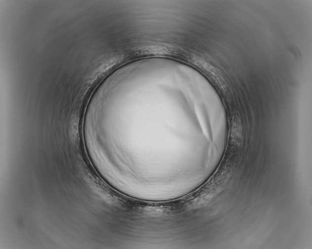 X0000110860394200907021420