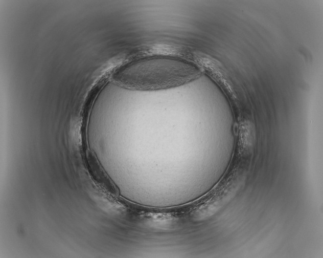 X0000110860395200907021420