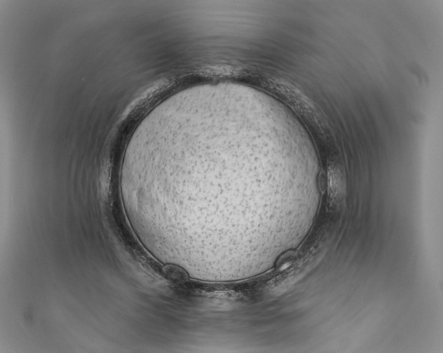 X0000110860396200907021420