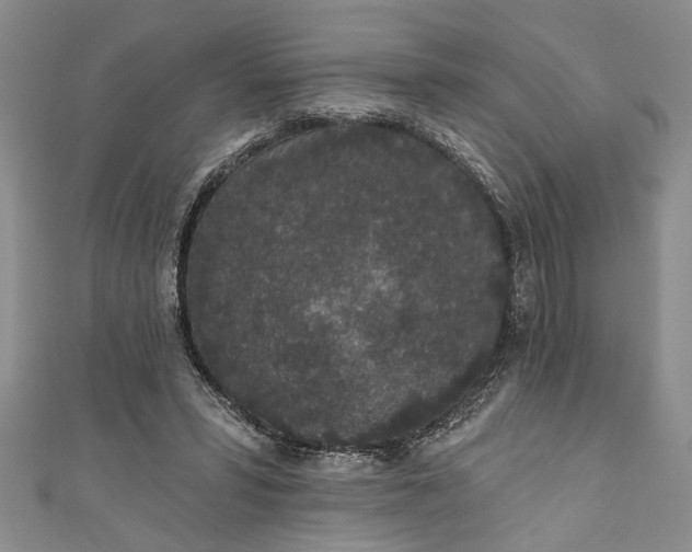 X0000110860399200907021420