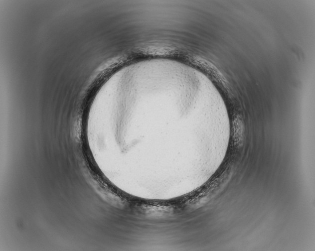 X0000110860400200907021420