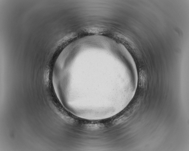 X0000110860404200907021420