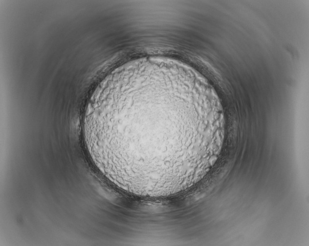 X0000110860405200907021420