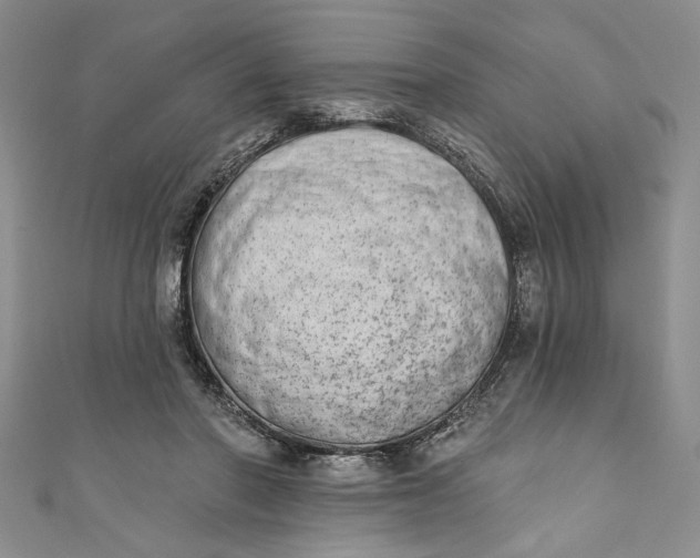 X0000110860406200907021420