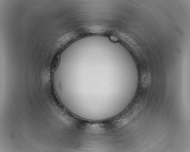 X0000110860407200907021420