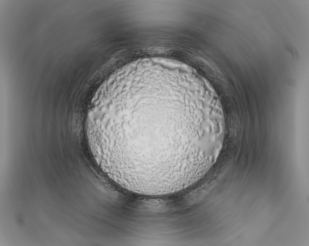 X0000110860409200907021420