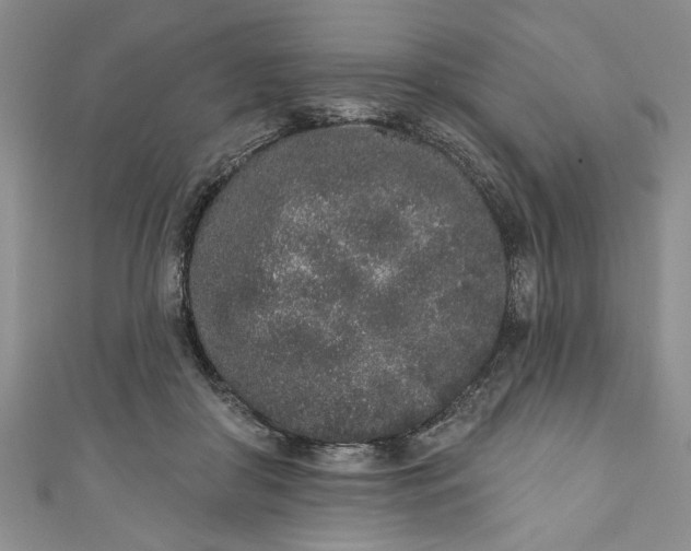 X0000110860410200907021420