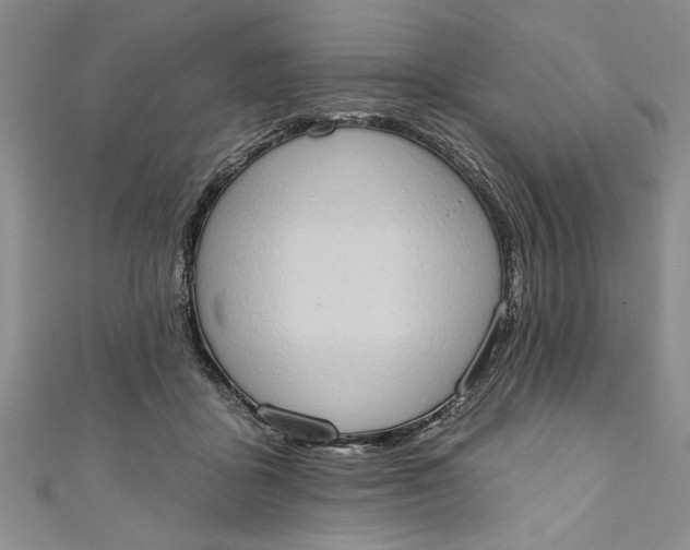 X0000110860411200907021420