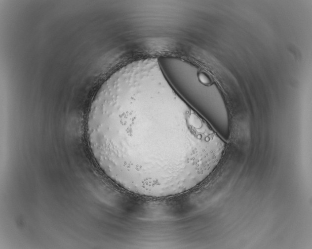 X0000110860413200907021420