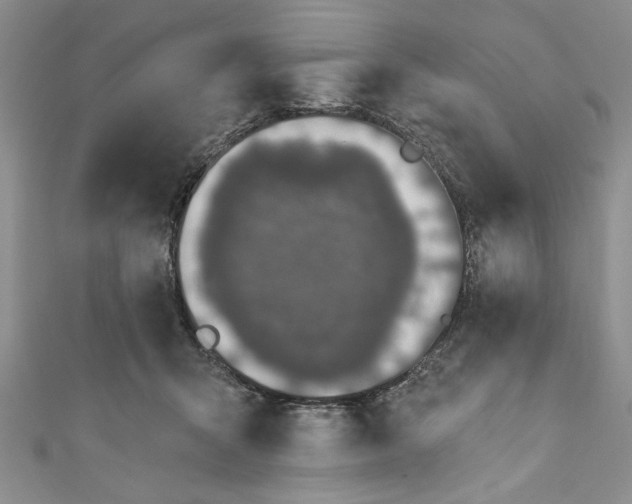 X0000110860415200907021420