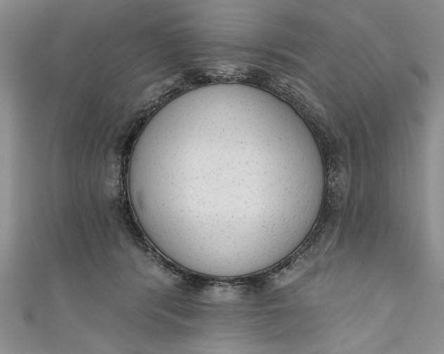 X0000110860416200907021419