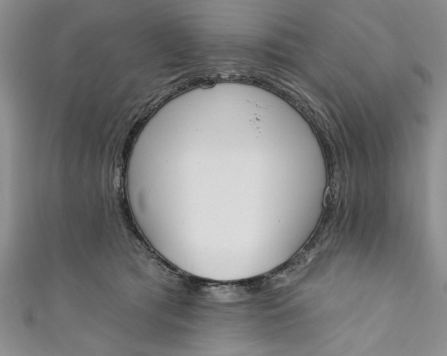 X0000110860417200907021419