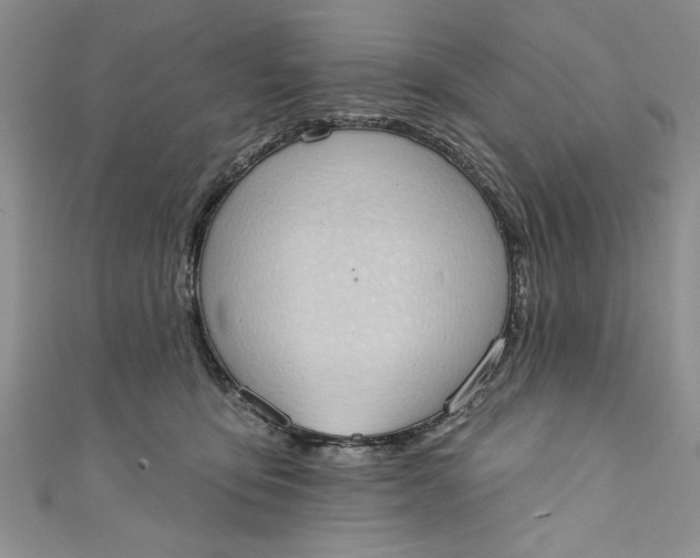 X0000110860419200907021419