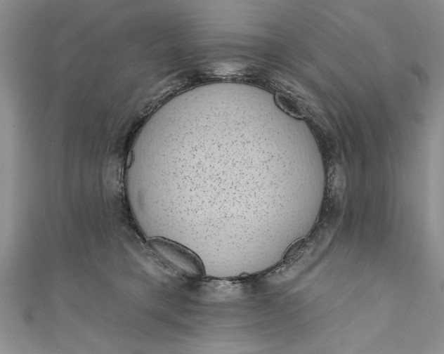 X0000110860421200907021419