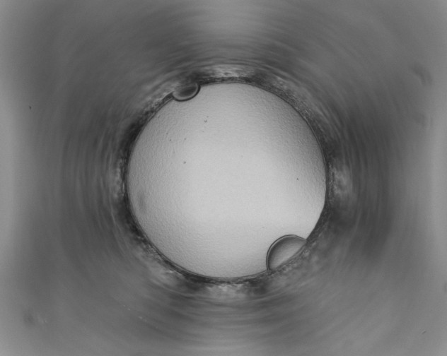 X0000110860422200907021419