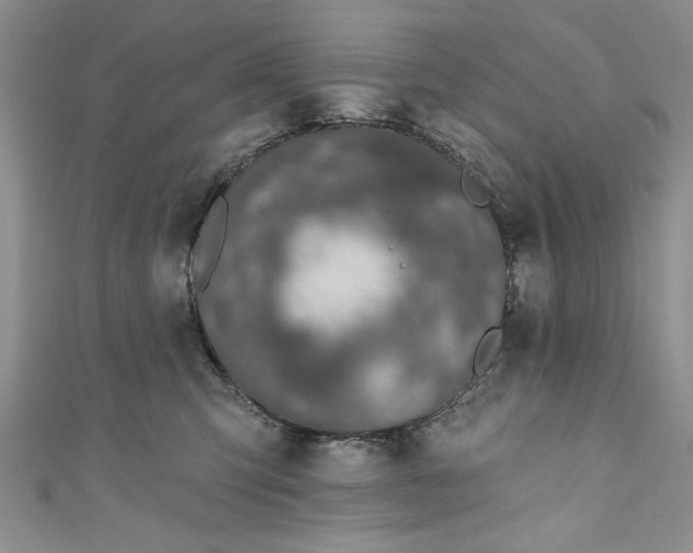 X0000110860423200907021419