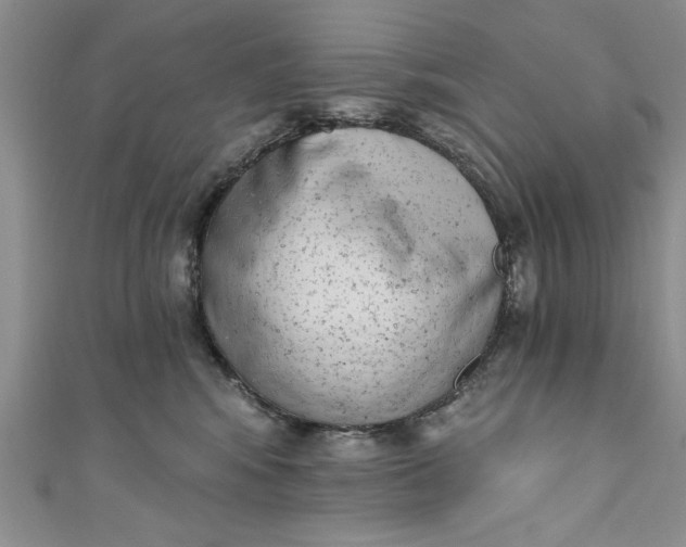 X0000110860424200907021419