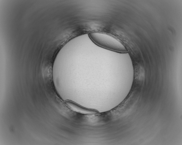 X0000110860425200907021419