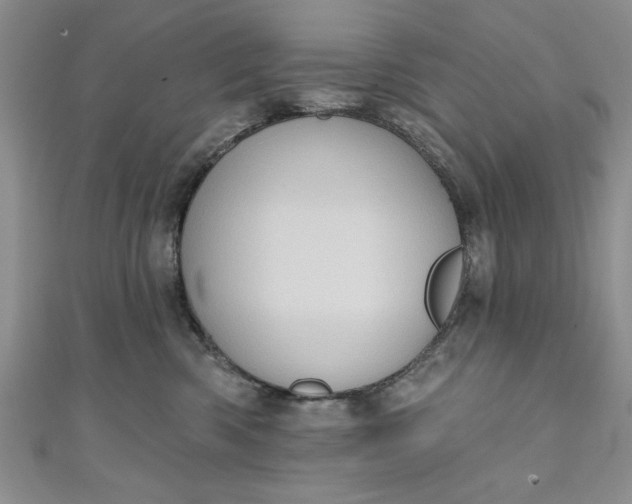 X0000110860426200907021419