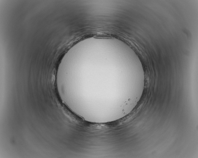 X0000110860427200907021419