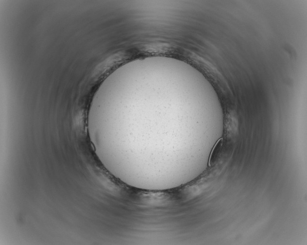 X0000110860428200907021419