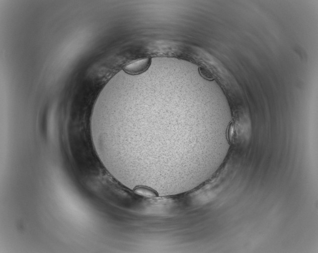 X0000110860429200907021419