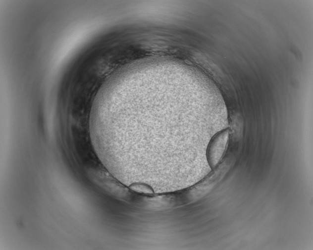 X0000110860430200907021419