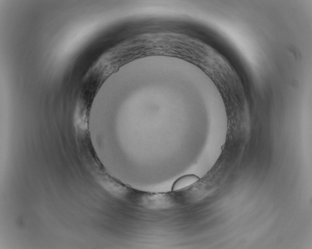 X0000110860431200907021419