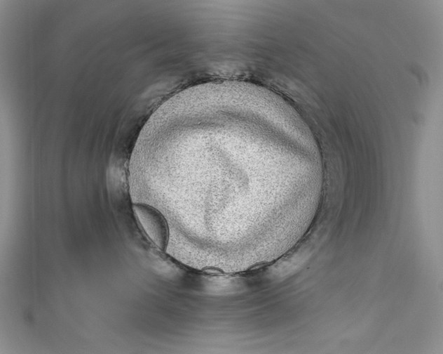 X0000110860432200907021419