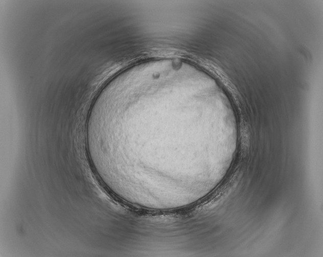 X0000110860433200907021419