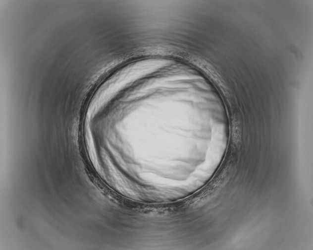 X0000110860434200907021419